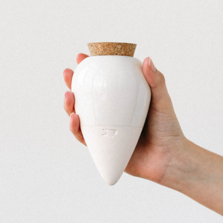 Olla-Réservoir d’eau naturel pour plantes