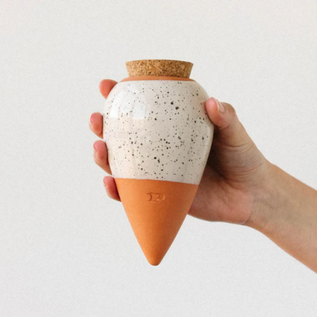 Olla-Réservoir d’eau naturel pour plantes